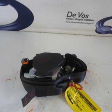 Peugeot 308  Gurtsrammer links 2012 8976S1