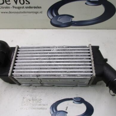 Citroen C4 Picasso 2.0 HDiF 16V 135 Intercooler RHJ 2007 0384K0