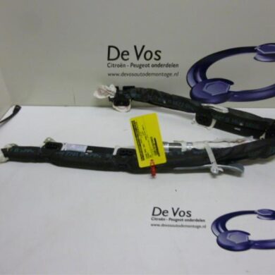 Peugeot 206 1.4 XR,XS,XT,Gentry Roof curtain airbag 2004 8329SV