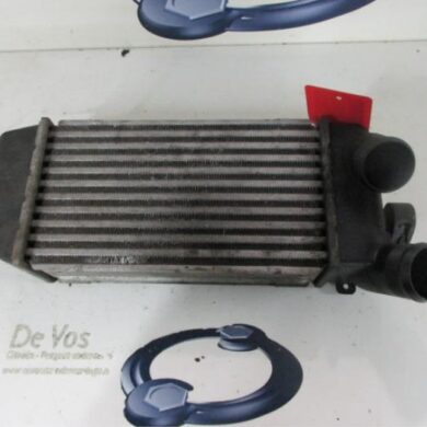 Citroen C3 1.4 HDi 16V Intercooler 8HY 2003 0384G2