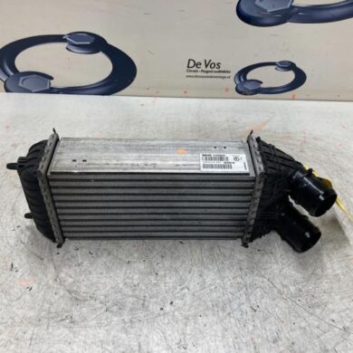 Citroen DS3  Intercooler HNZ 2016 9803900780