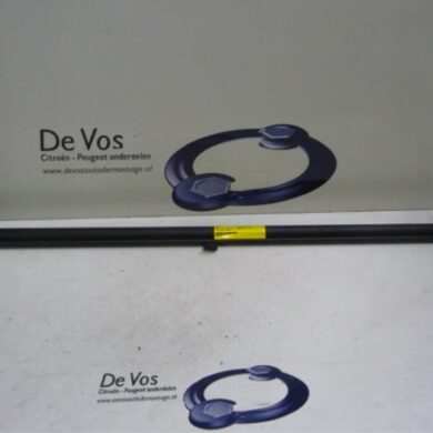 Peugeot 207 1.6 16V Luggage compartment cover 2007