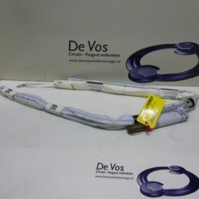Citroen C3 Picasso 1.6 HDi 90 Hemel Airbag 2010 8335WJ