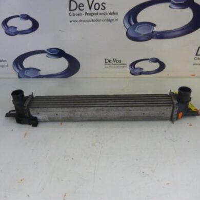 Peugeot Bipper  Intercooler FHZ 2012 0384L7