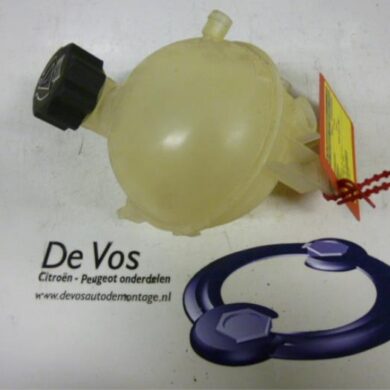 Peugeot 307 1.6 HDi 90 16V Expansievat 2006 1323W4