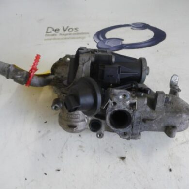 Citroen DS3  EGR valve 9HP 2010 1618LN-162644-9800125180