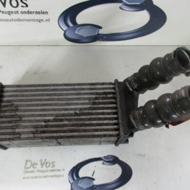 Peugeot 307 1.6 HDi 90 16V Intercooler 9HV 2007 0384H5