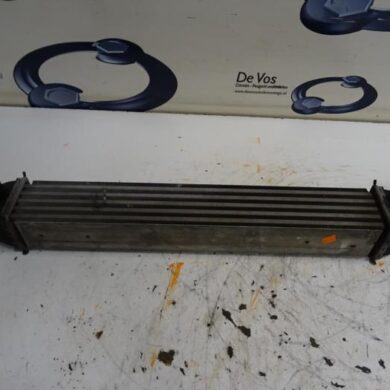 Citroen Nemo  Intercooler FHZ 2015 0384L7