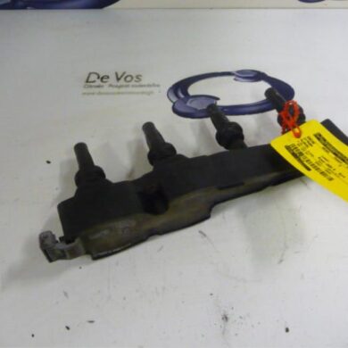 Citroen Pluriel  Bobine NFU 2004 597099