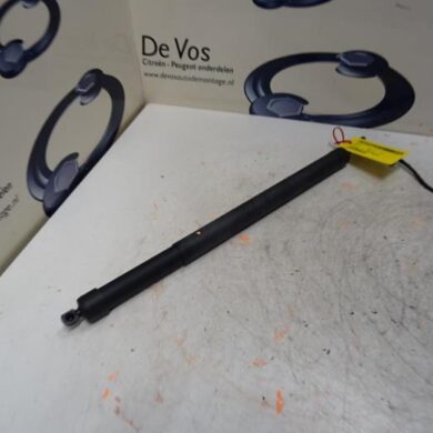 Peugeot 3008  Rear gas strut, left 2019 9830770280