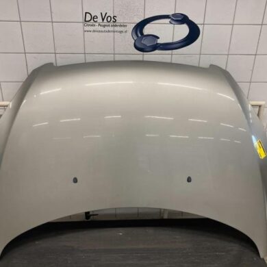 Peugeot 307 2.0 16V Motorkap 2004 7901J0