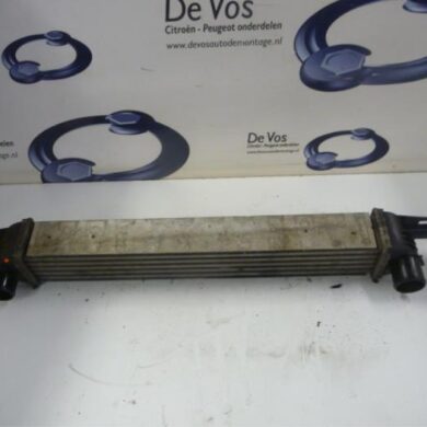 Peugeot Bipper 1.3 HDI Intercooler FHZ 2011 0384L7