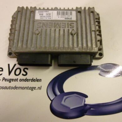 Peugeot 307 2.0 16V Computer Automatische Bak RFN 2004 2529WV-2529WW-2529EY-2529RX 20TS01