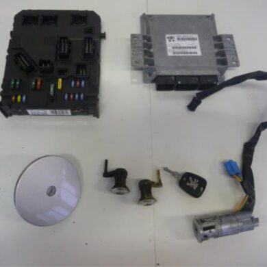 Peugeot 206 1.1 XN,XR Engine management computer HFX 2005 1938Y9