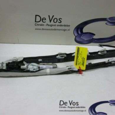 Citroen C4 Picasso 2.0 HDiF 16V 135 Hemel Airbag 2008 8216PR