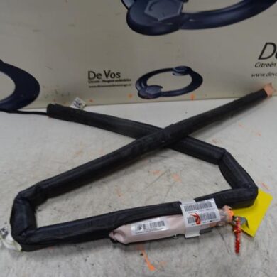 Peugeot 3008  Roof curtain airbag 2018 9811504380