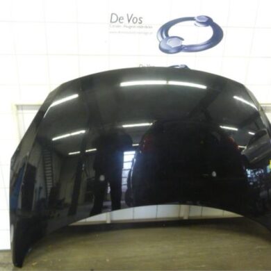 Peugeot 307  Motorkap 2008 7901L9