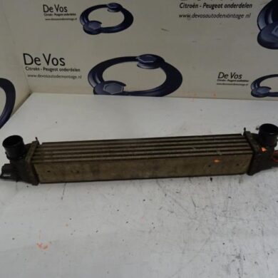 Peugeot Bipper  Intercooler FHZ 2012 0384L7