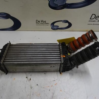 Citroen DS3  Intercooler 5FV-5FV5F02 2013 9803145480
