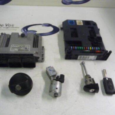 Peugeot 207 1.4 HDi Computer Motormanagement 8HR-8HR8H01 2012 194487