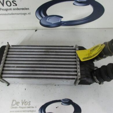 Peugeot 207  Intercooler 9HV-9HV9H01 2011 0384J4