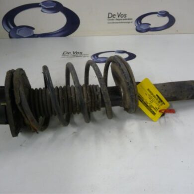 Peugeot 206 1.6 16V Front shock absorber rod, right 2004 5202NL