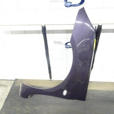 Peugeot 307 1.6 16V Scherm links-voor 2002 7840K8