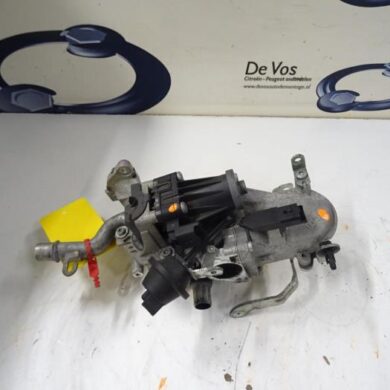 Citroen C3 Picasso  EGR Klep 9HP9H06 2012 1618LC