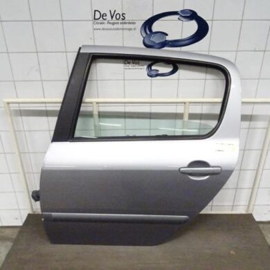 Peugeot 307 2.0 16V Tür 4-türig links hinten 2003 9006G9