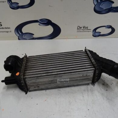 Citroen DS5  Intercooler RHH-RHHRH02 2013 0384P8