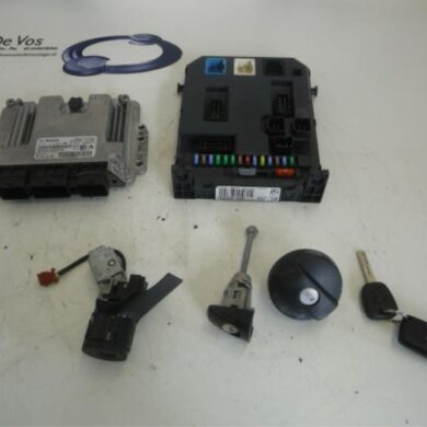 Peugeot 207  Engine management computer 9HV9H01 2011 1944J3-1944J4