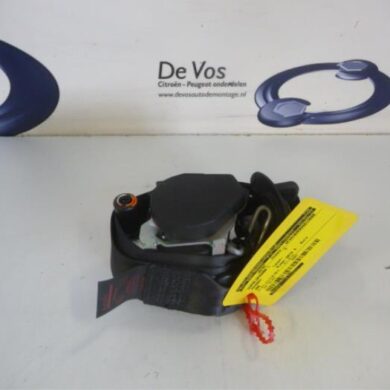 Peugeot 308  Gurtsrammer links 2013 8976S1