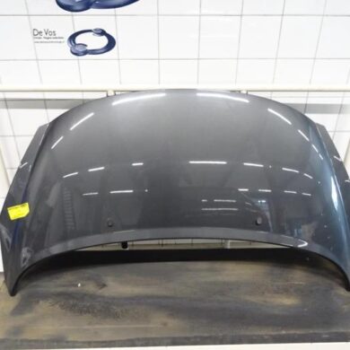 Peugeot 207  Bonnet 2010 7901N2