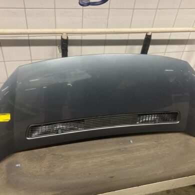 Citroen Jumpy 2.0 HDI 120 16V Motorkap 2008 7901N1-1608371780