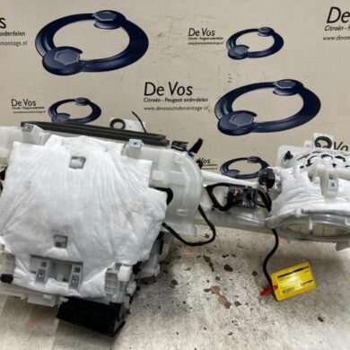 Citroen C4 Picasso  Kachelhuis 2017 1609707680-9822121180