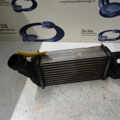 Citroen DS5  Intercooler RHH-RHHRH02 2012 0384P8