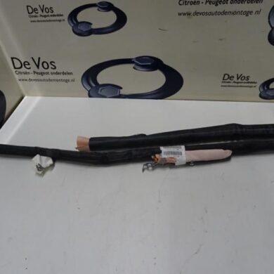 Peugeot 3008  Himmel Airbag 2017 9811504680