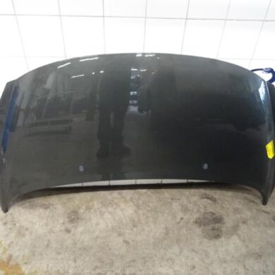 Peugeot 207  Bonnet 2009 7901N2