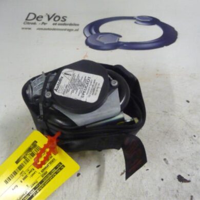 Peugeot 207  Gurtsrammer links 2009 8975W9