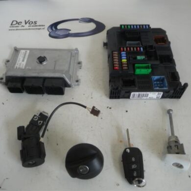 Peugeot 208  Engine management computer HMZHM01 2015 1613248880