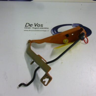 Citroen Pluriel  Bonnet Hinge 2003 791268