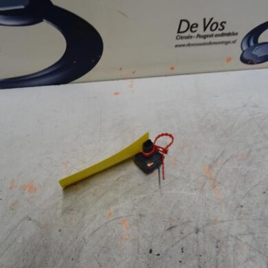 Peugeot 3008  Achteruitrij Camera 2019 9809301080