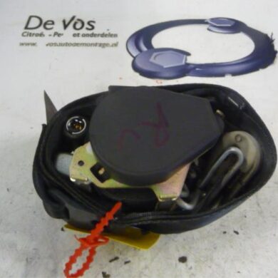 Peugeot 207  Gurtsrammer rechts 2006 8975CA