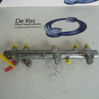 Peugeot Boxer  Einspritzdüse (Einspritzer) 2004 1570J1