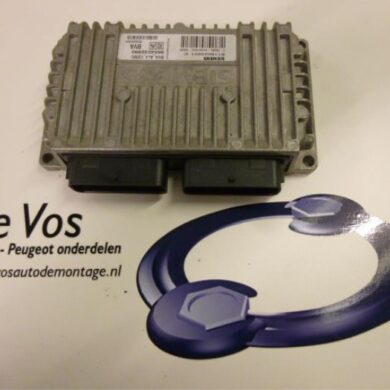 Citroen C5 2.0 16V Automatic gearbox computer RFJ 2005 2529KN-2529KP 20TS10
