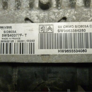 Peugeot 807 2.0 HDi 16V 120 Computer Motormanagement RHK 2006 1942GR