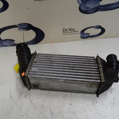 Citroen DS4  Intercooler RHH 2014 0384P8