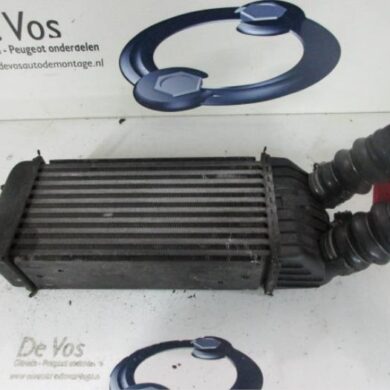 Peugeot 207 1.6 HDi 16V Intercooler 9HX 2006 0384J4