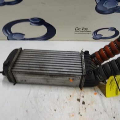 Citroen DS3  Intercooler 5FV-5FV5F02 2012 1440P8