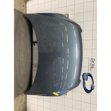 Peugeot 307 1.6 16V Motorhaube 2005 7901J0